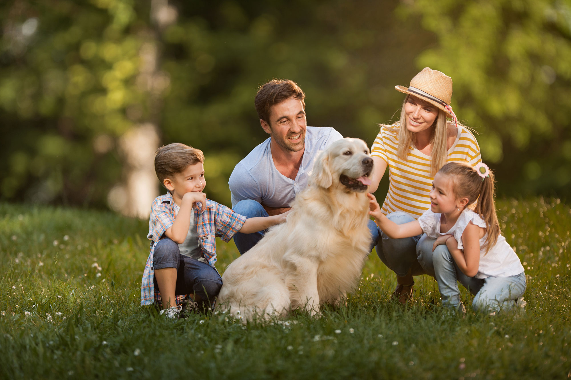 &amp; Allen Insurance Group Health Insurance Cary, NC